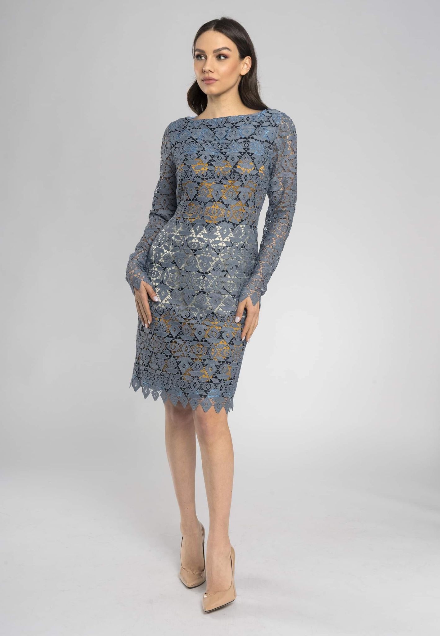 Lunaria Lace Sheath Dress