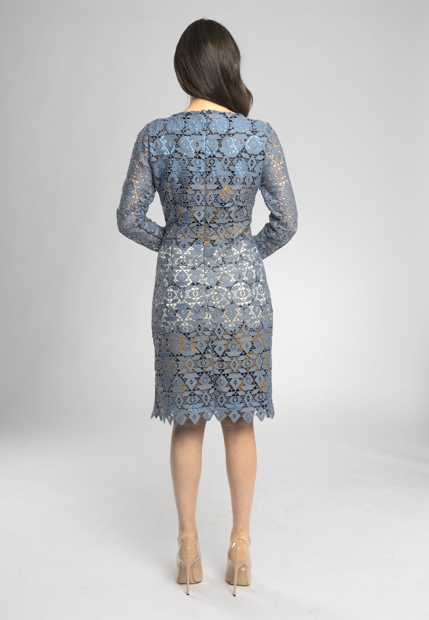 Lunaria Lace Sheath Dress